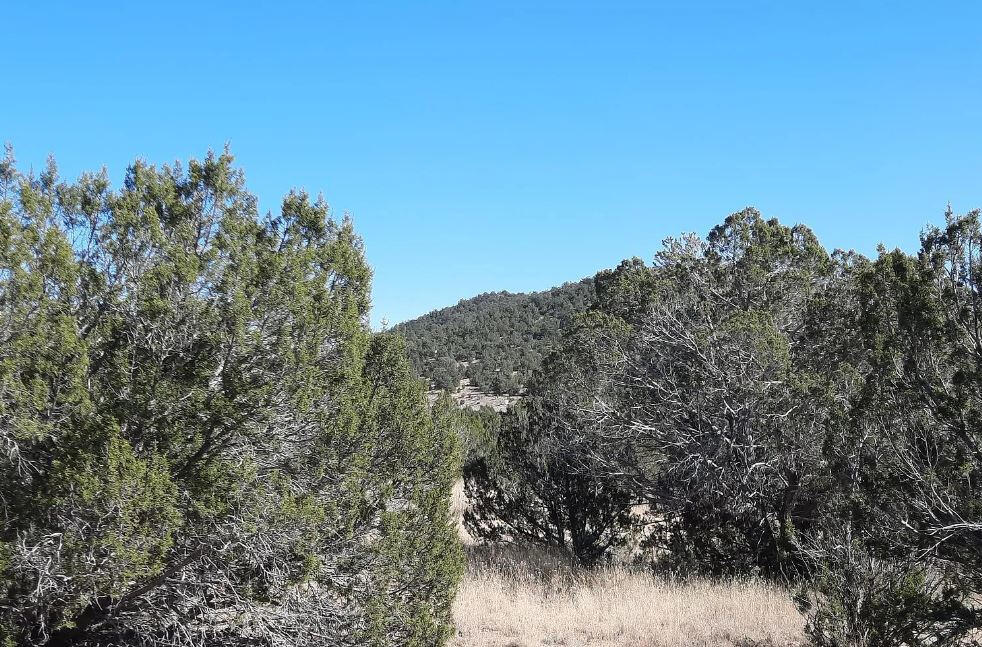 Next to Public Land - Cll Ciervo, Seligman, AZ 86337