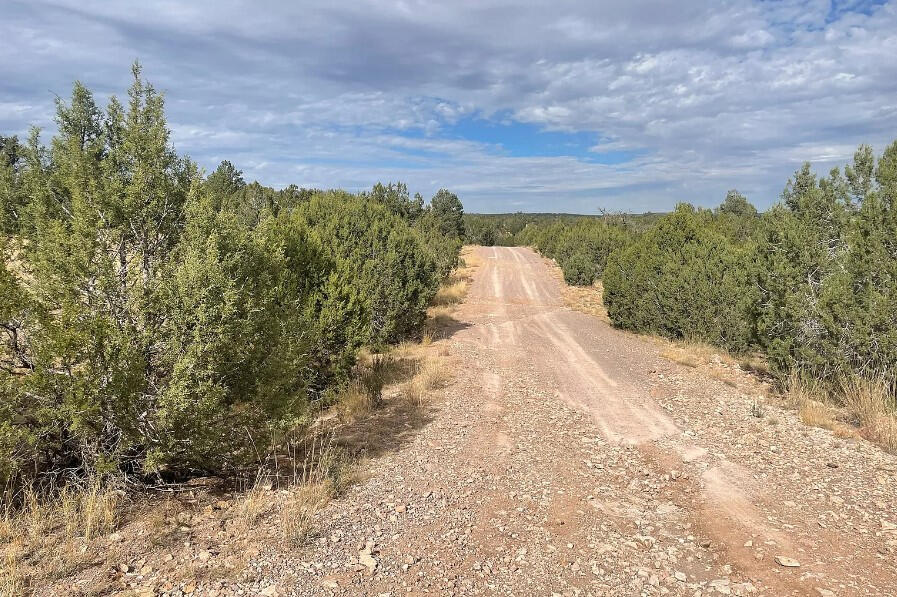 Next to Public Land - Cll Ciervo, Seligman, AZ 86337