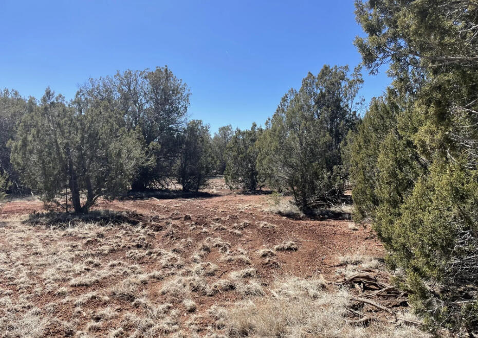 Next to Public Land - Cll Ciervo, Seligman, AZ 86337