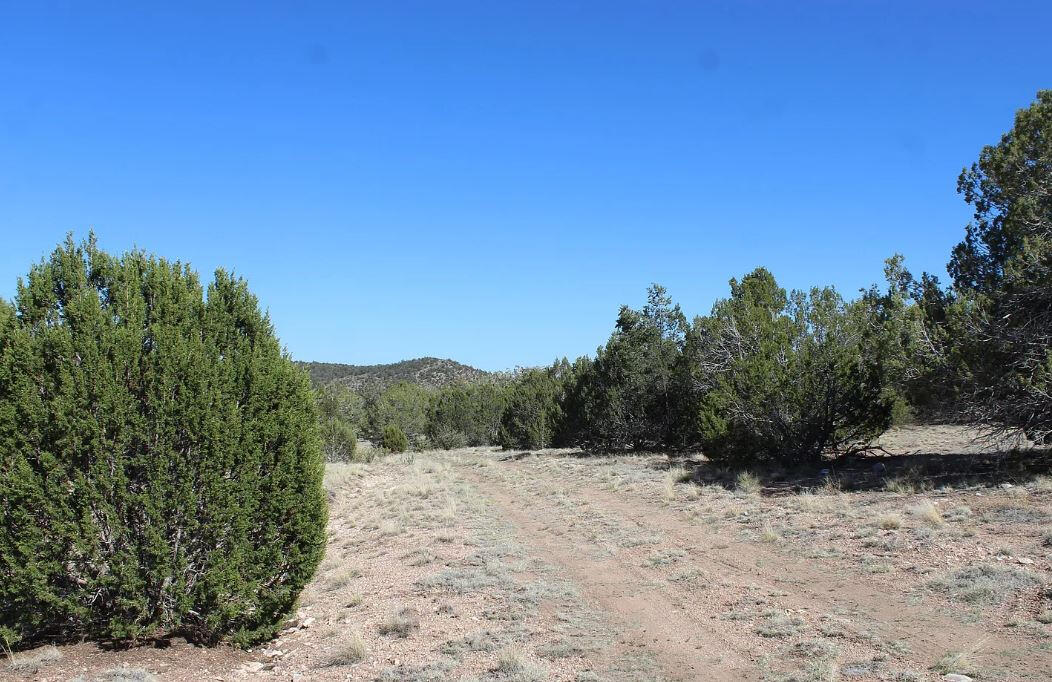 Next to Public Land - Cll Ciervo, Seligman, AZ 86337