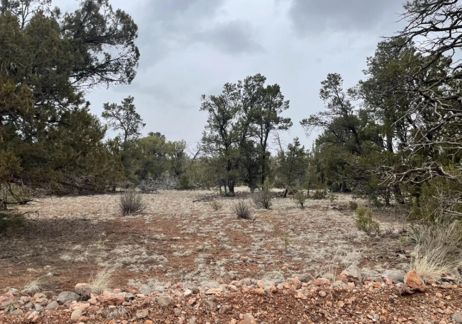 Next to Public Land - Cll Ciervo, Seligman, AZ 86337
