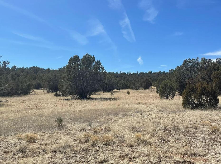 Next to Public Land - Cll Ciervo, Seligman, AZ 86337