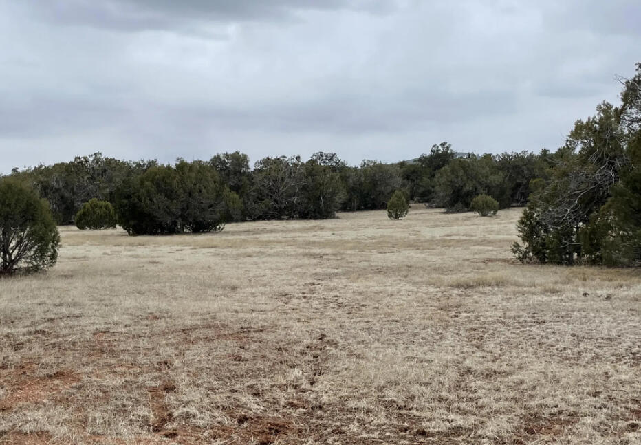 Next to Public Land - Cll Ciervo, Seligman, AZ 86337